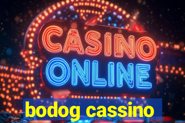 bodog cassino