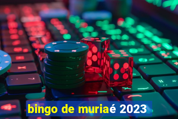 bingo de muriaé 2023