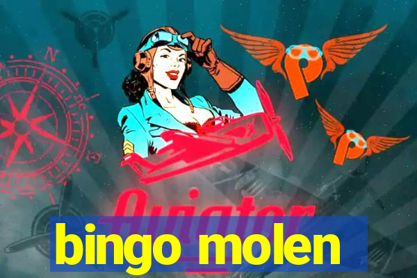 bingo molen