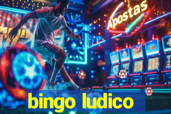 bingo ludico