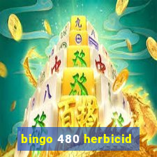 bingo 480 herbicid