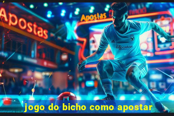 jogo do bicho como apostar