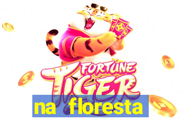 na floresta encantada meme