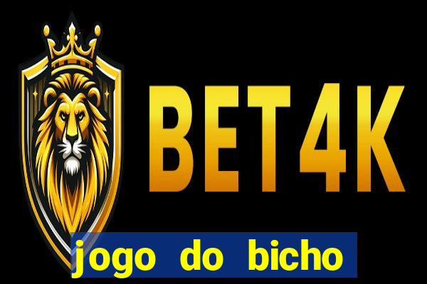 jogo do bicho online df