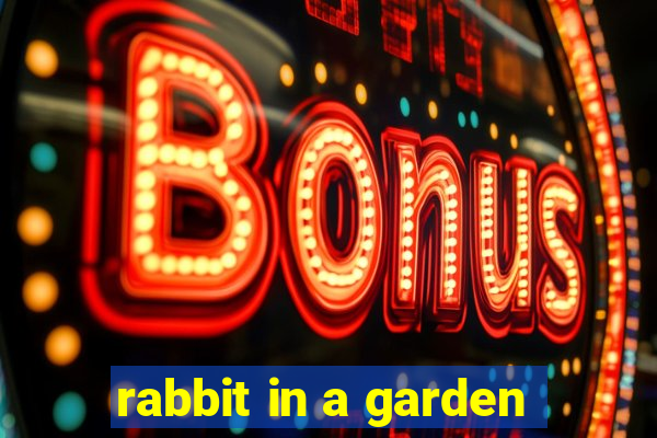 rabbit in a garden