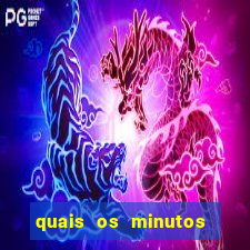 quais os minutos pagantes do rabbit