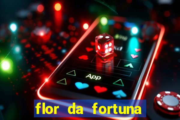 flor da fortuna como cuidar