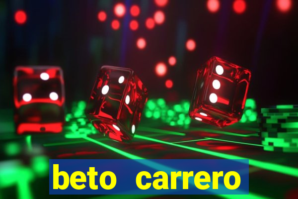 beto carrero cidades proximas