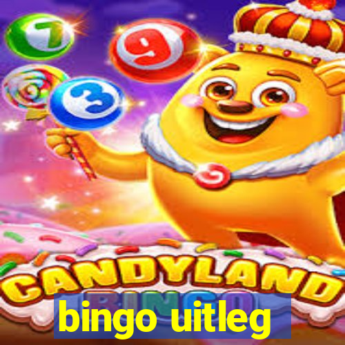 bingo uitleg