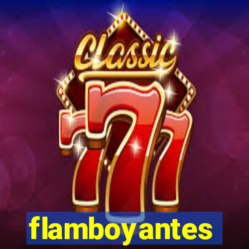 flamboyantes