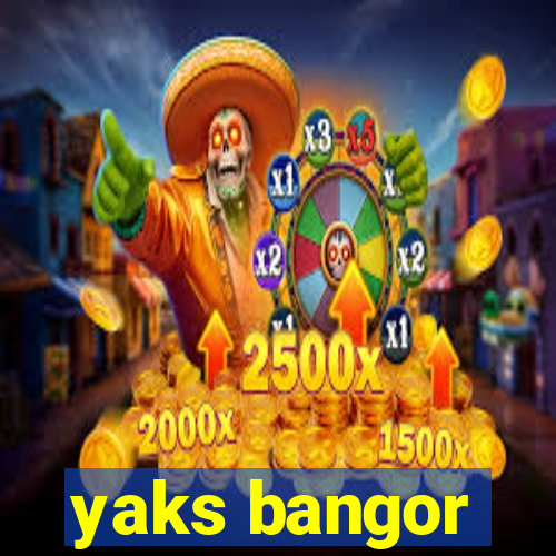 yaks bangor